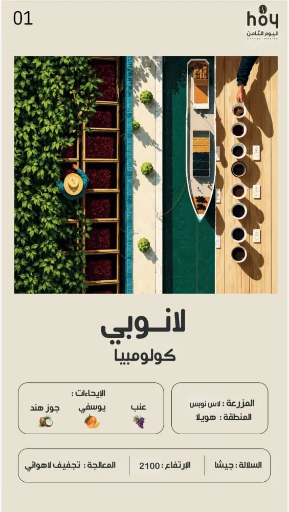 كولومبيا لانوبي جيشا | محمصة اليوم الثامن | 250G