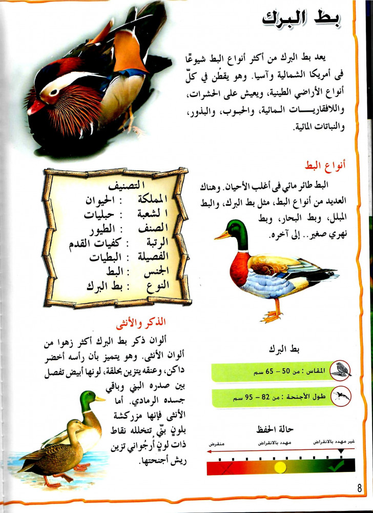 موسوعة الحيوانات - الطيور
