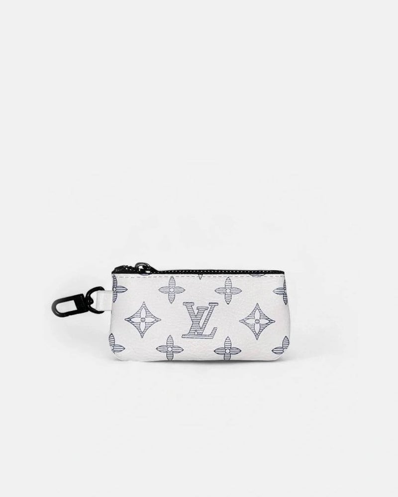 luggage  VUITTONLOUIS