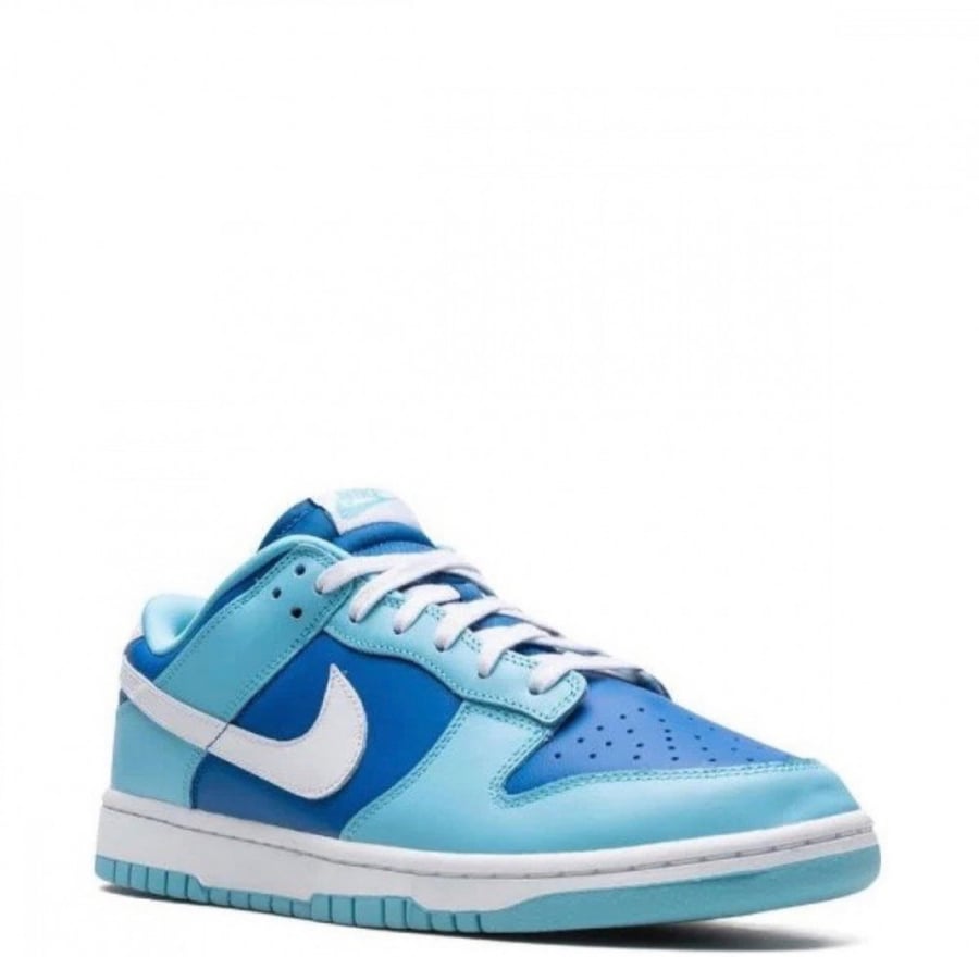 Nike Dunk Low Retro Argon