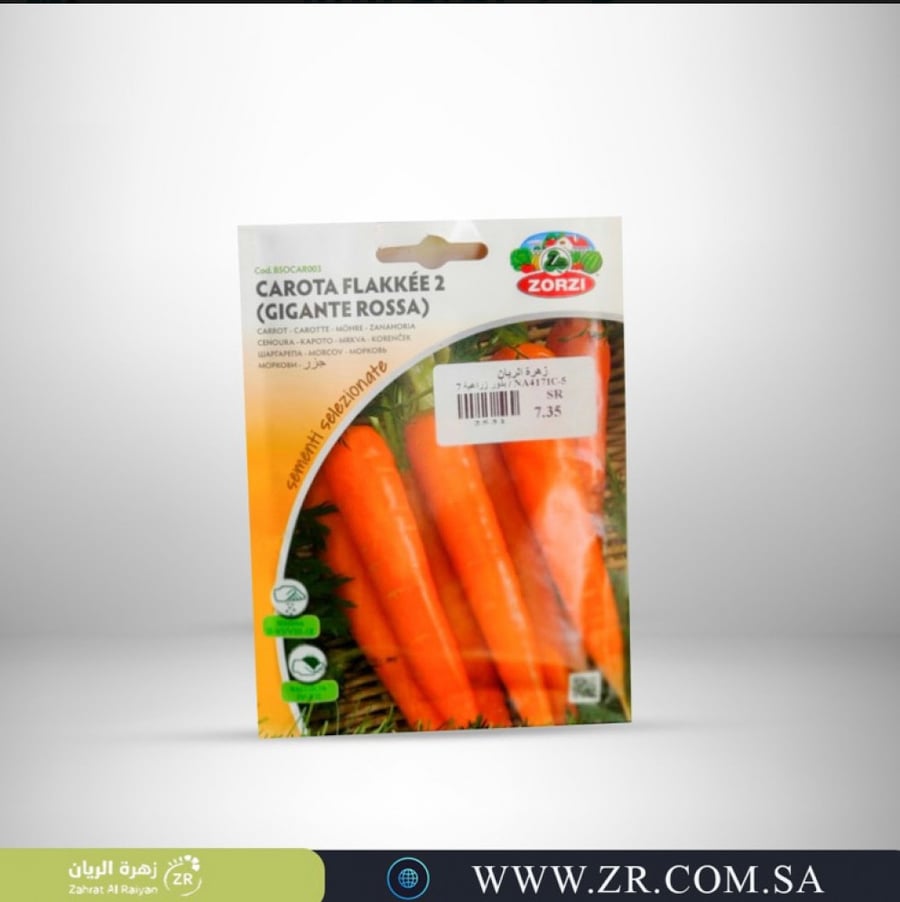Carrot seeds