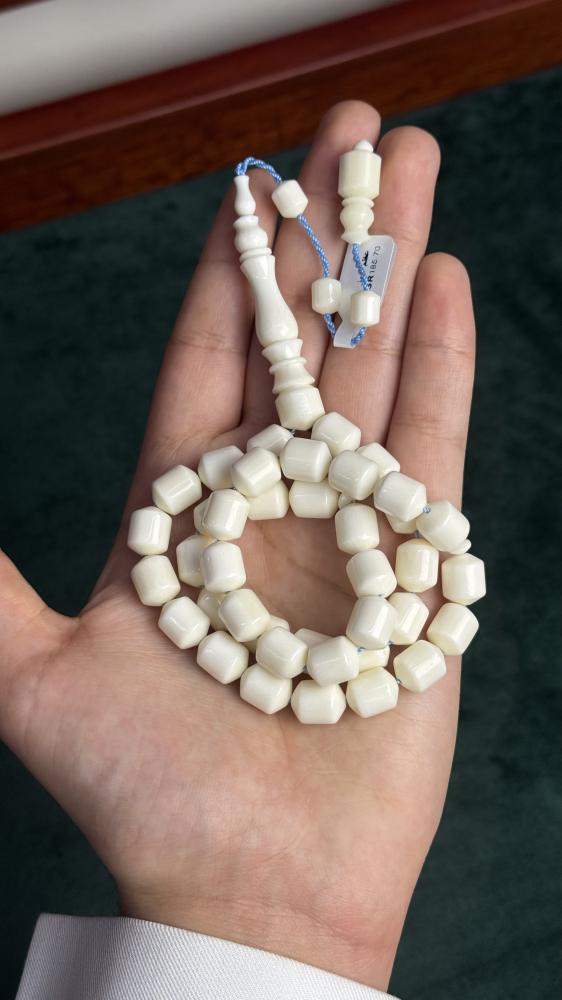 عظم جمل 3076
