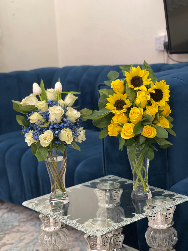 فازه دوار شمس