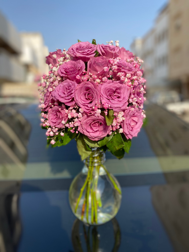 فازة موف 7