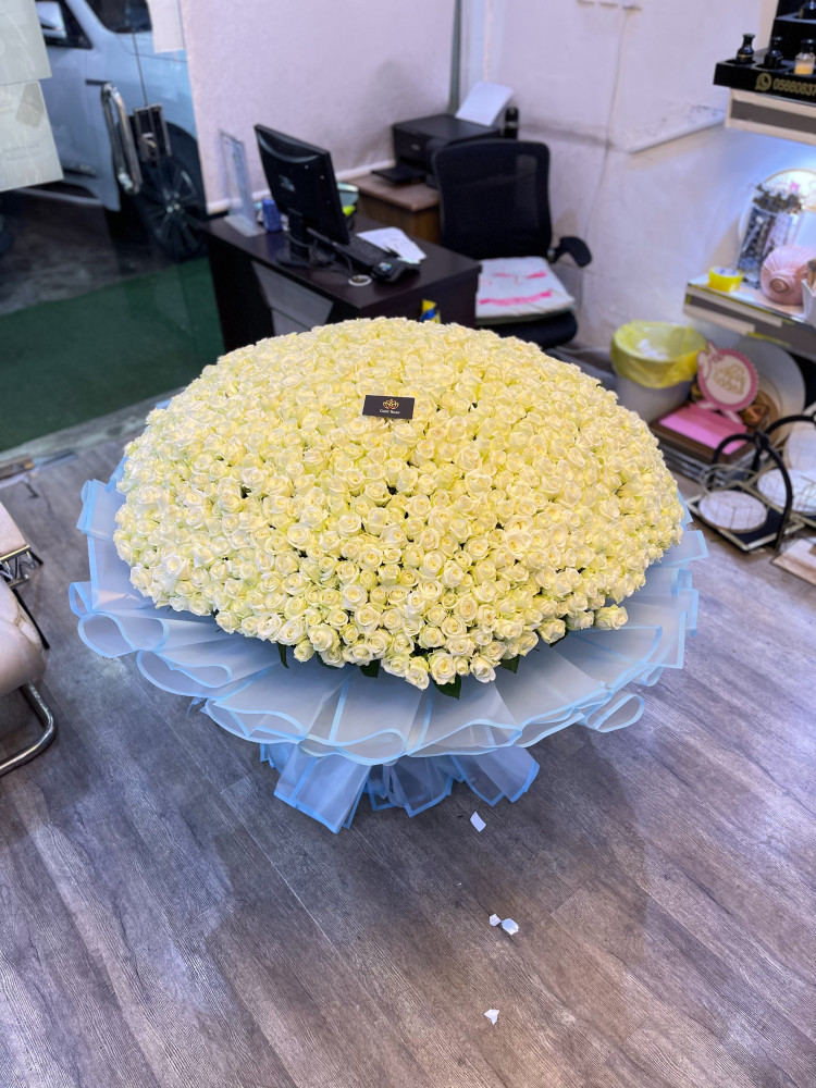 باقة العز 09