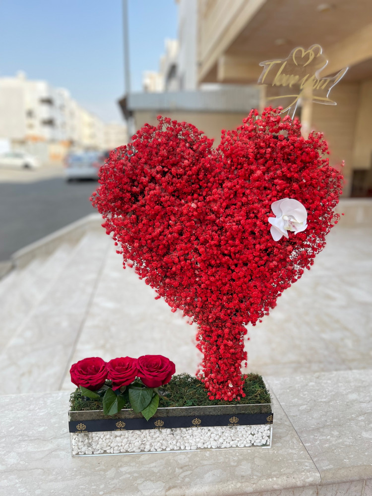 قلب الحُب