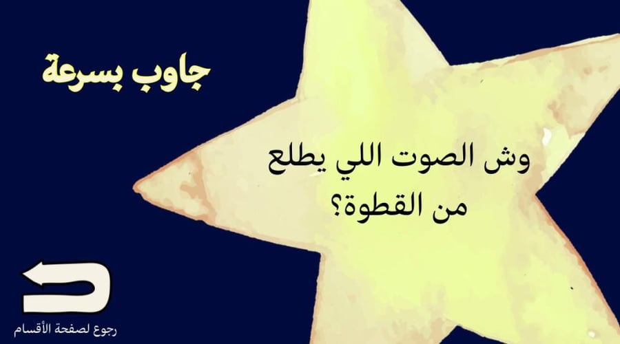فعاليات المخيم