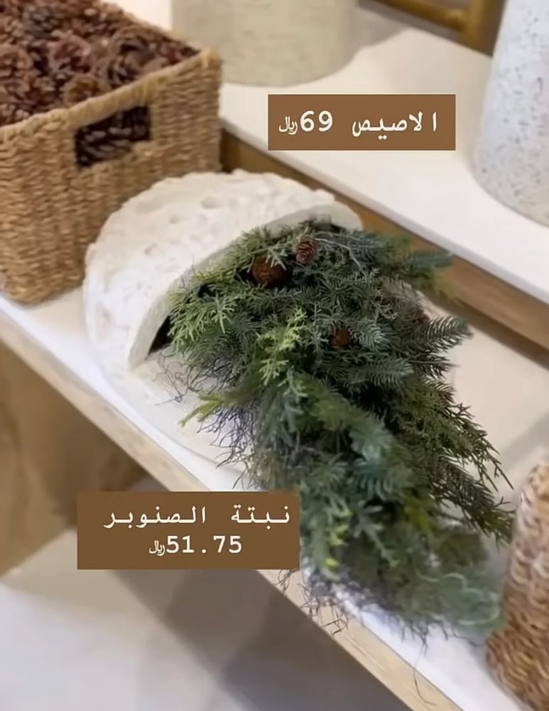 تنسيق نبتة