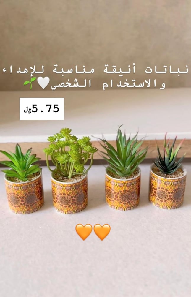 نباتات عصارية