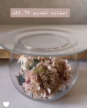 استاند تقديم