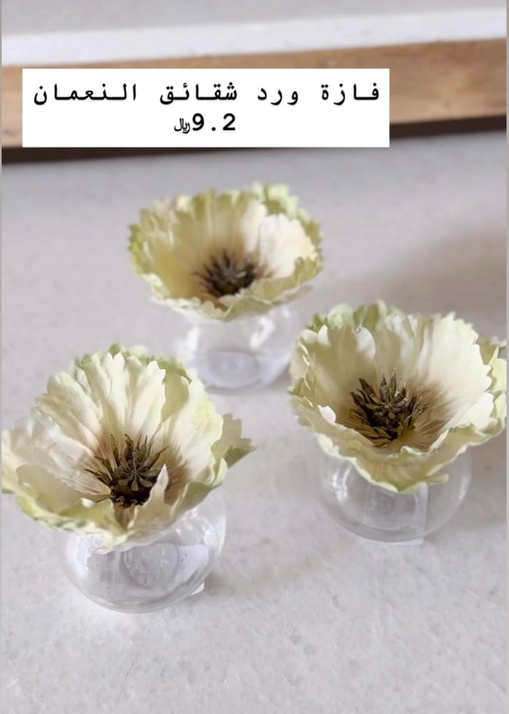فازة شقائق النعمان