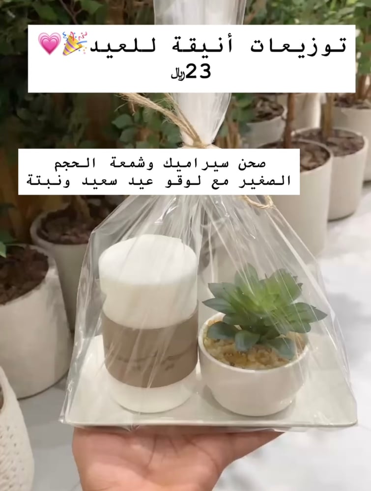توزيعات العيد