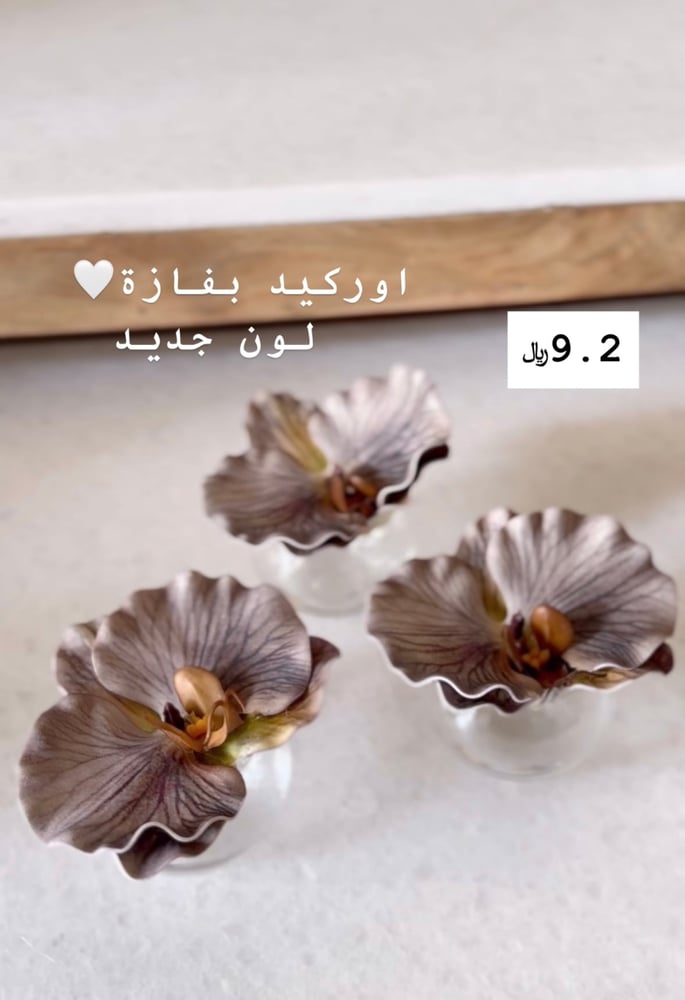 مزهرية اوركيد صغيرة