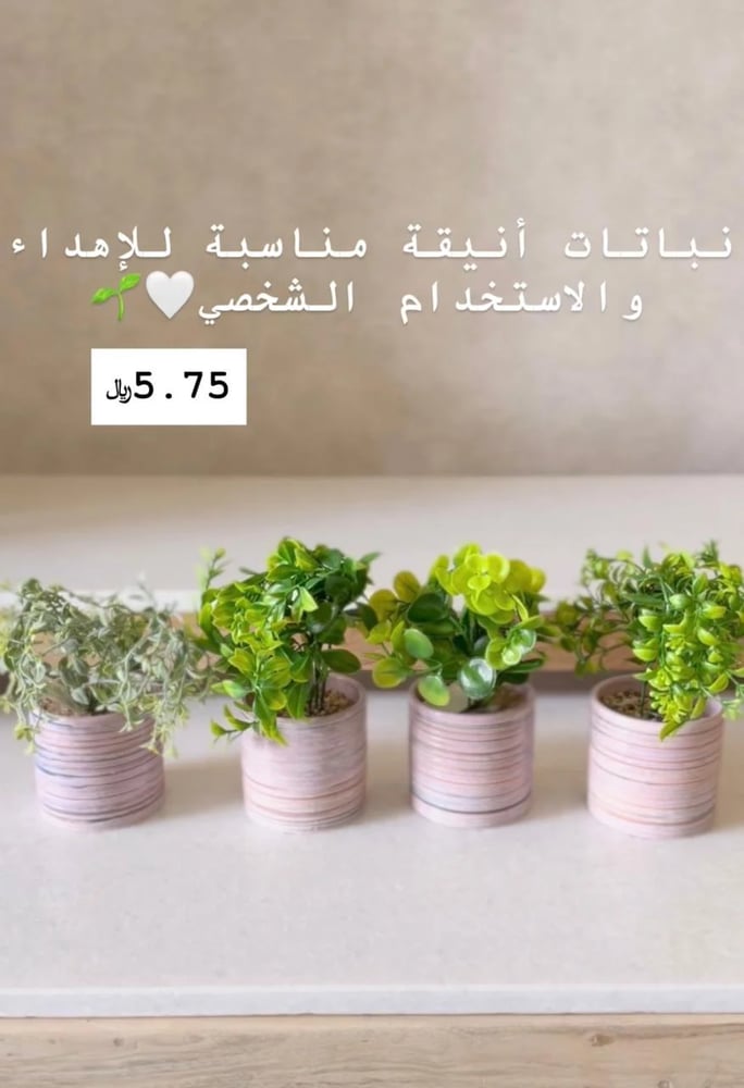 نباتات صغيرة