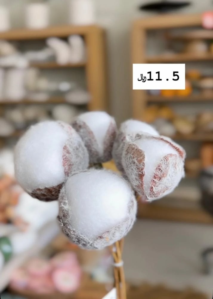 غصن قطن