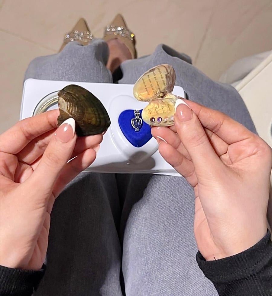بكج المحار الأكثر مبيعا
