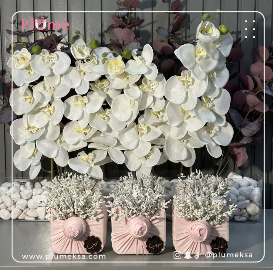 ١٢شنطة اكسسوارات تغليف ياباني
