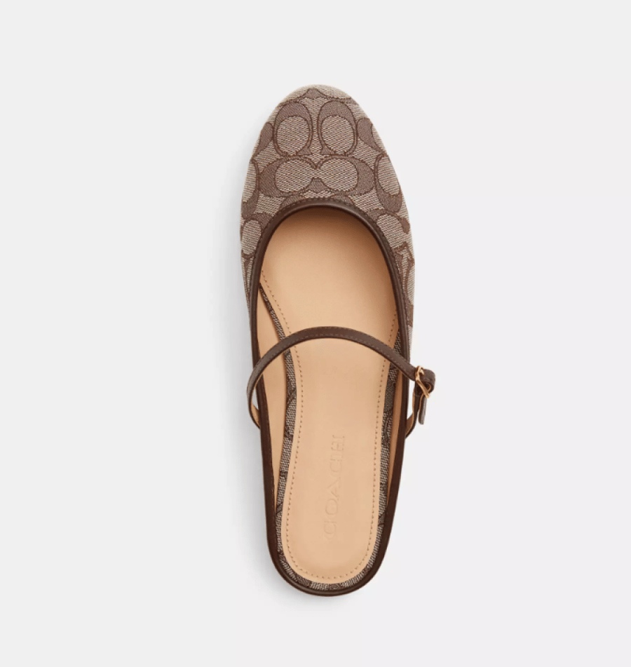 Ballet Mule