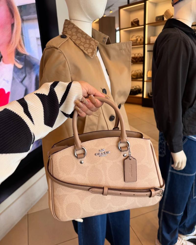 Savannah Small Carryall Bag
