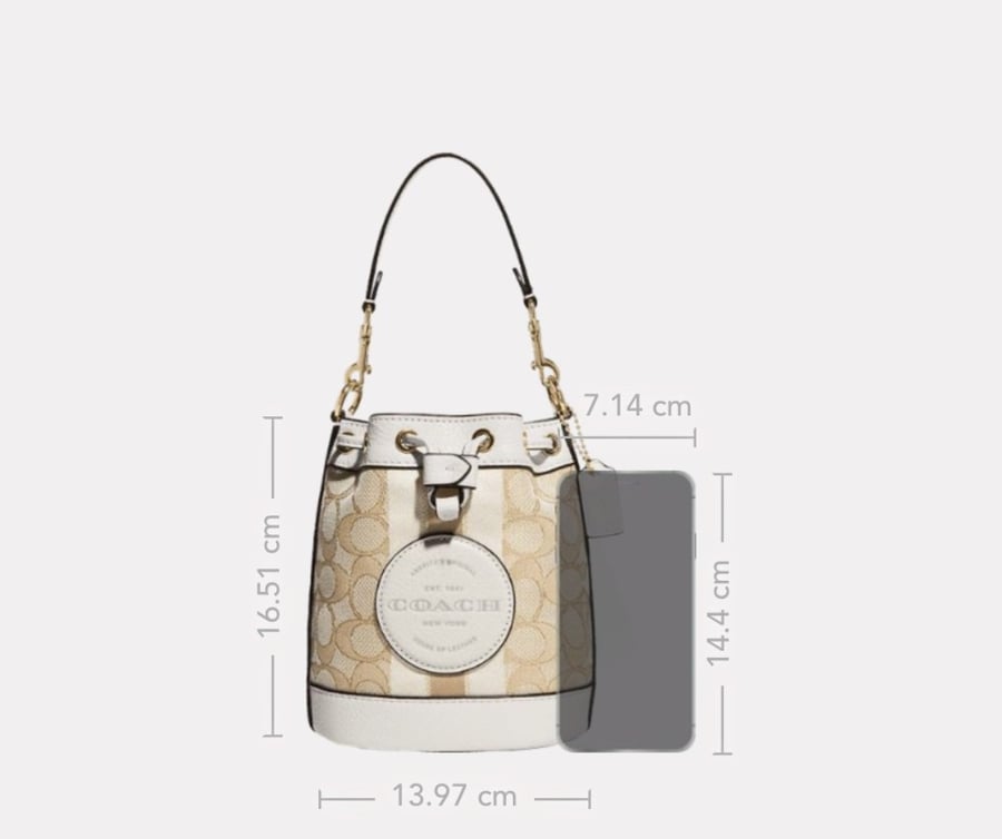 Mini Dempsey Bucket Bag In Signature Jacquard With Stripe And Coach Patch