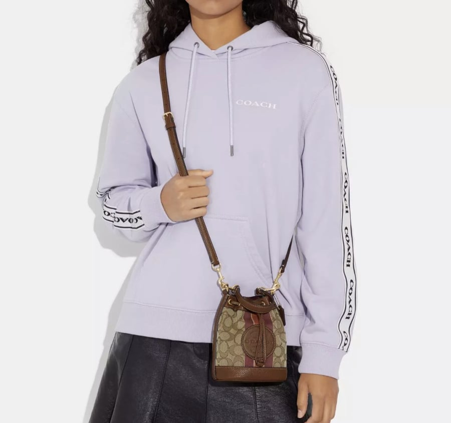 Mini Dempsey Bucket Bag In Signature Jacquard With Stripe And Coach Patch