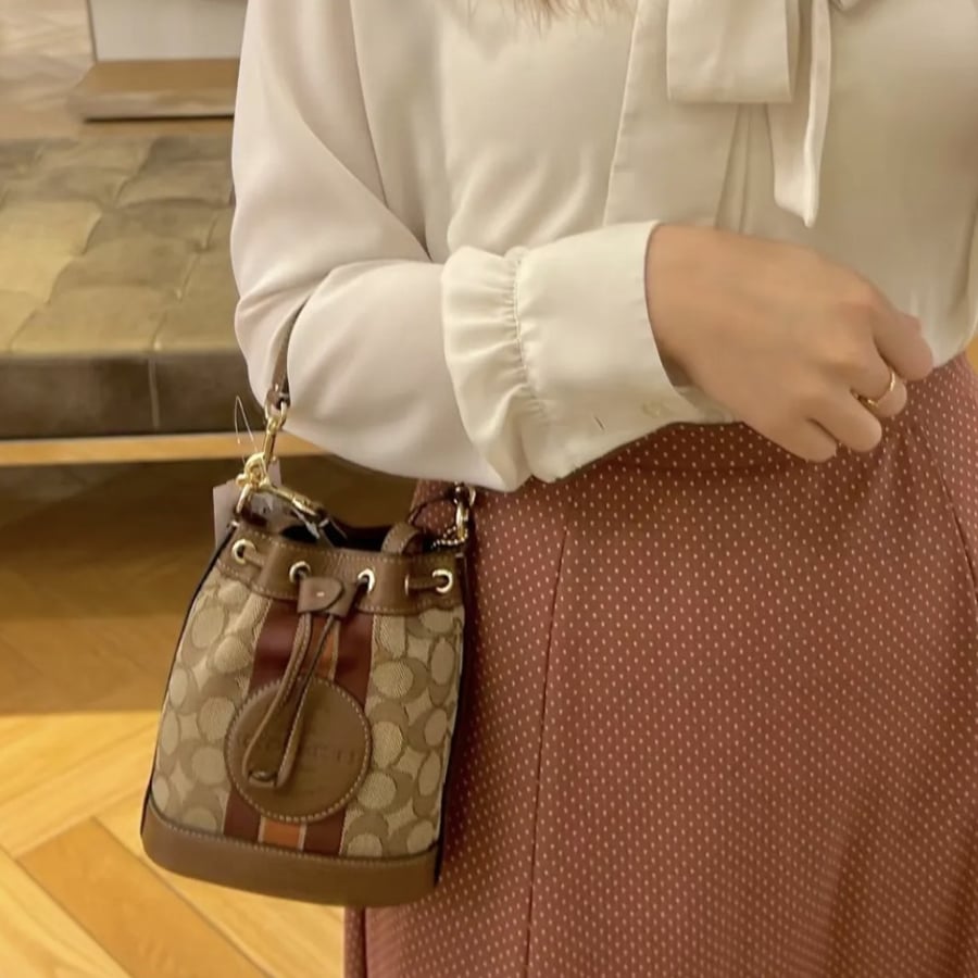 Mini Dempsey Bucket Bag In Signature Jacquard With Stripe And Coach Patch