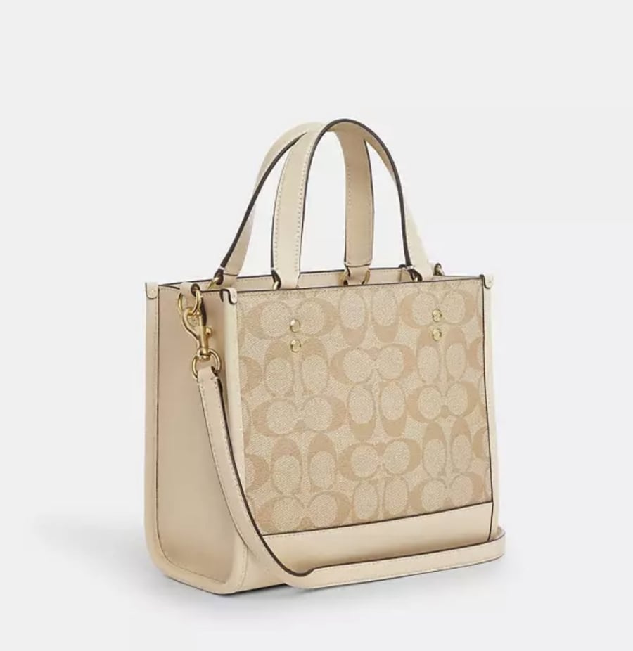 Dempsey Tote 22