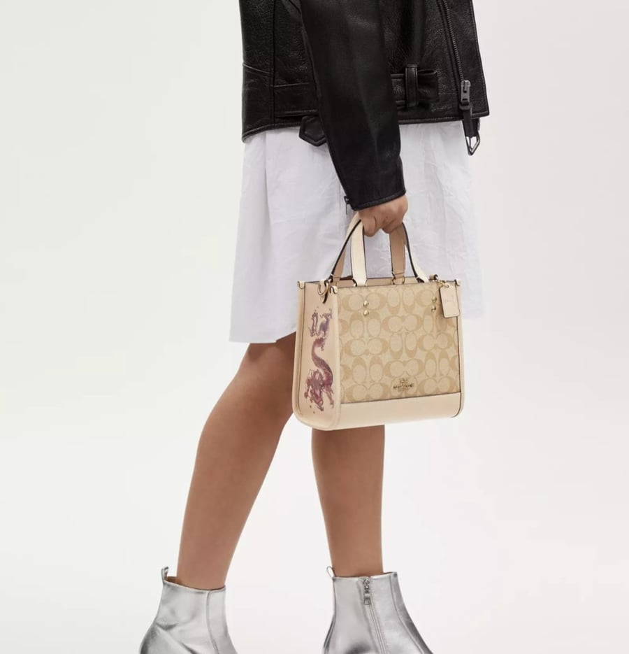 Dempsey Tote 22