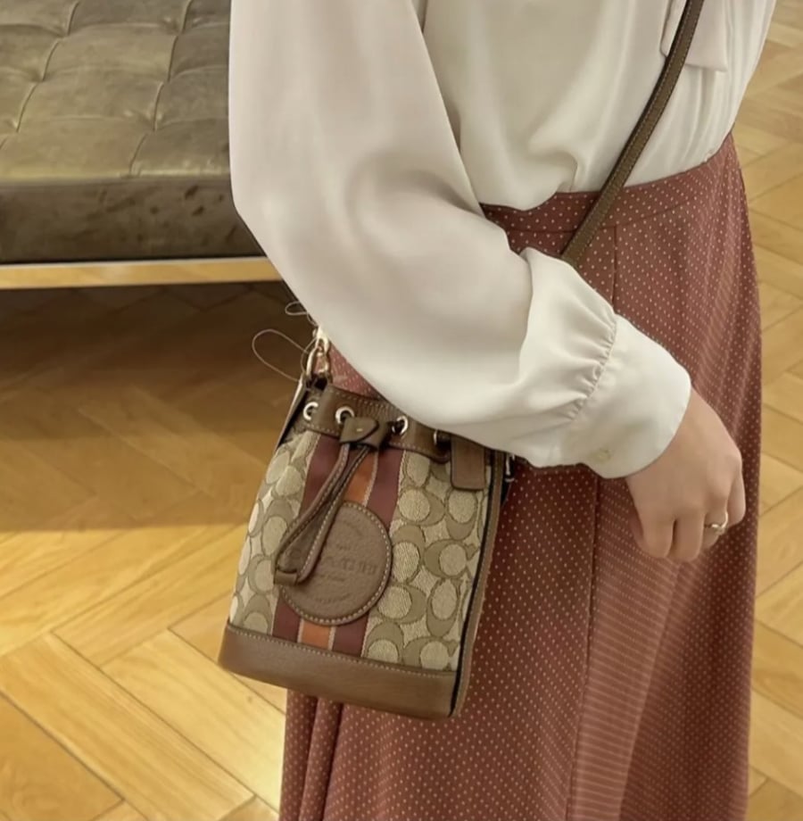 Mini Dempsey Bucket Bag In Signature Jacquard With Stripe And Coach Patch