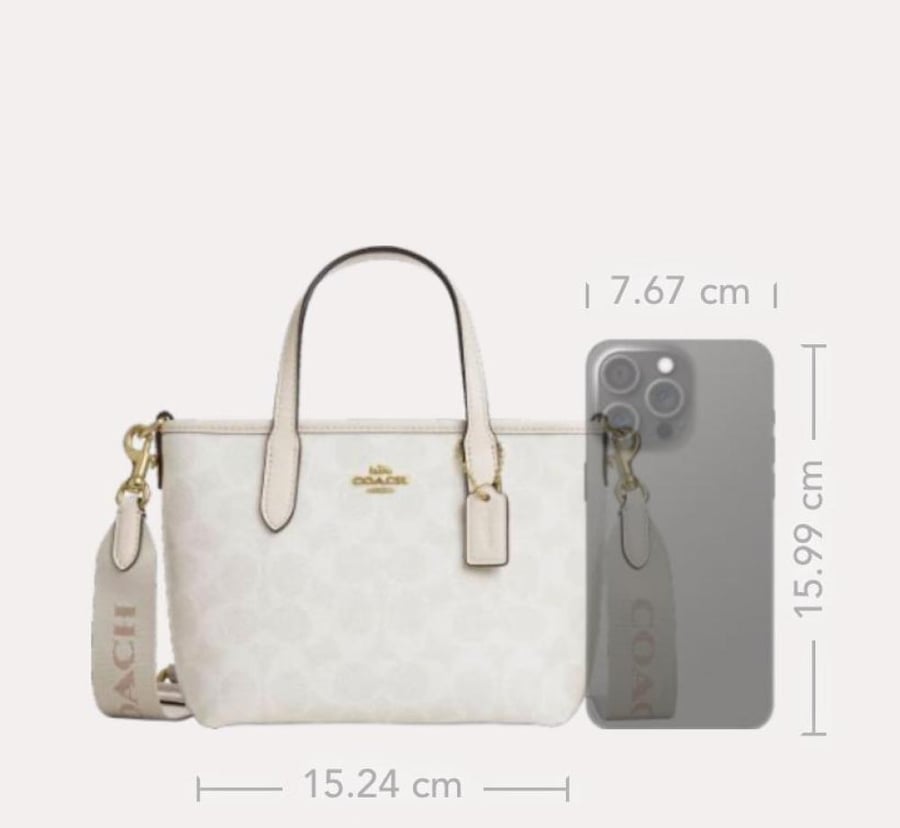 City Mini Tote Bag In Signature Canvas