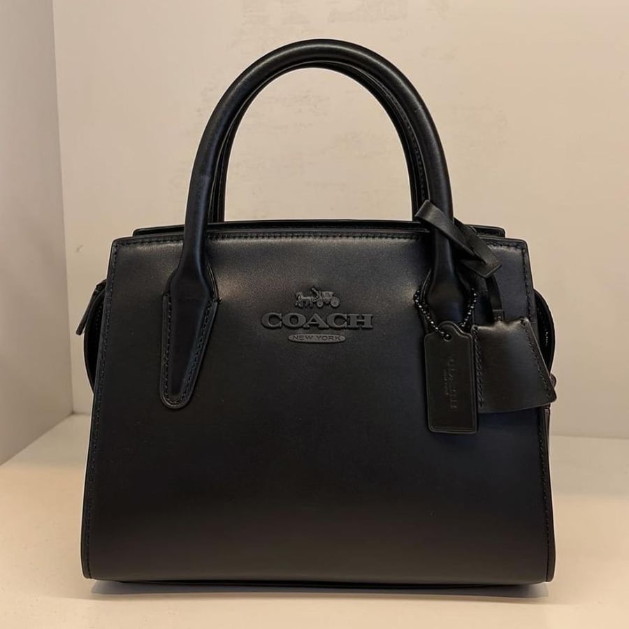 Andrea Carryall In Signature Canvas