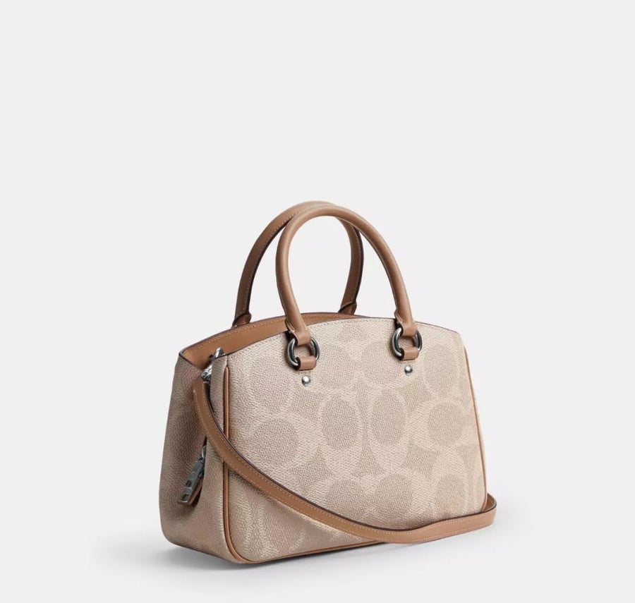 Savannah Small Carryall Bag