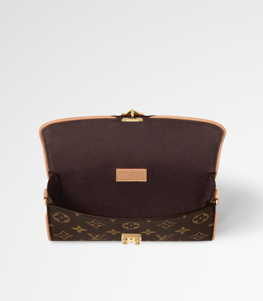 Louis vuitton pochette camille