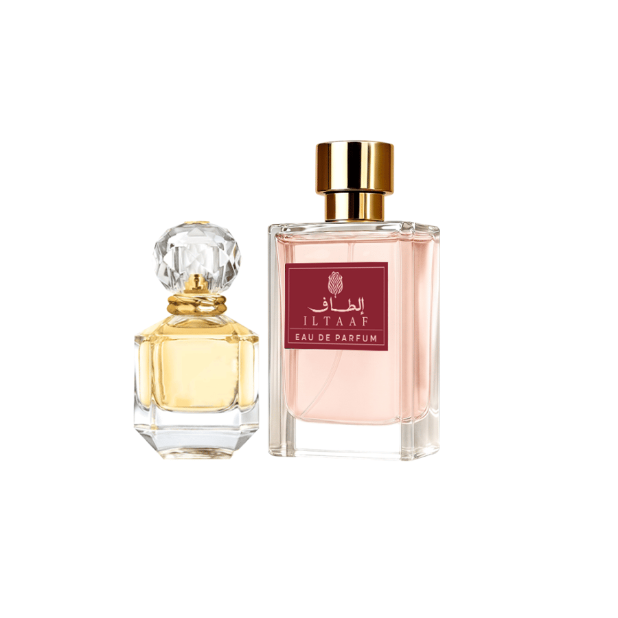 عطر مستوحى براديسو الطاف