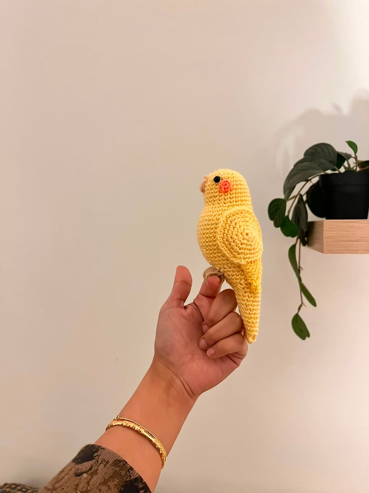 Bird 01