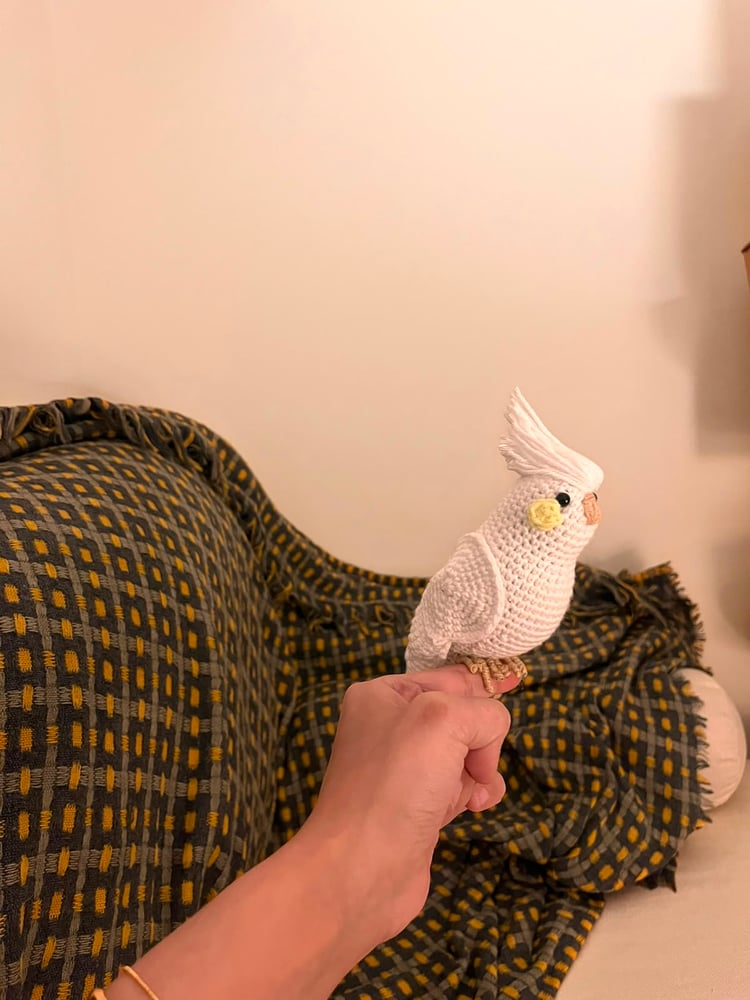 Bird 02