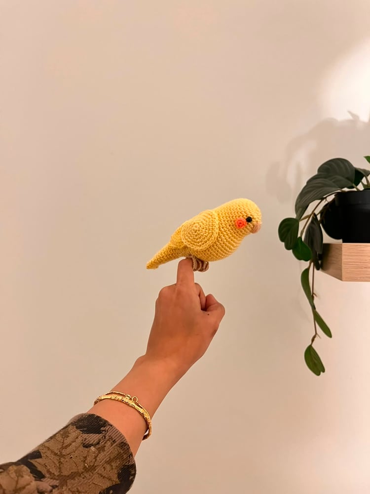 Bird 01