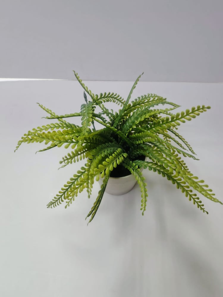 Tabletop Artificial Bushy Fern in White Planter نبات السرخس الاصطناعي على الطاولة في وعاء أبيض