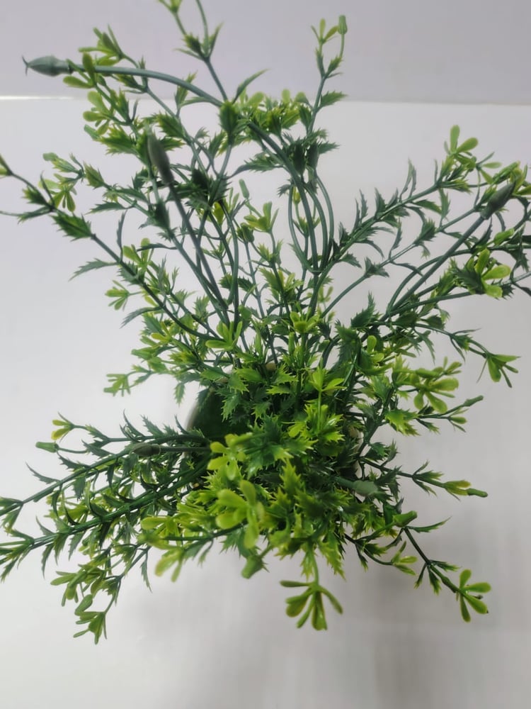 Small Artificial Greenery in Plain White Round Pot نباتات خضراء صناعية صغيرة في وعاء دائري أبيض عادي