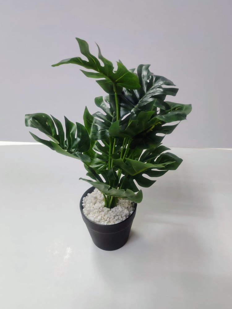 Artificial Variegated Croton Plant for Desk Decor نبات كروتون صناعي متنوع لديكور المكتب