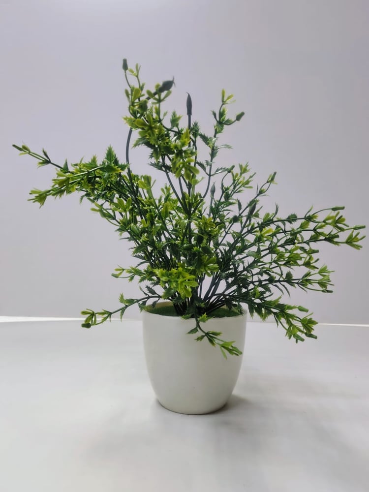 Small Artificial Greenery in Plain White Round Pot نباتات خضراء صناعية صغيرة في وعاء دائري أبيض عادي