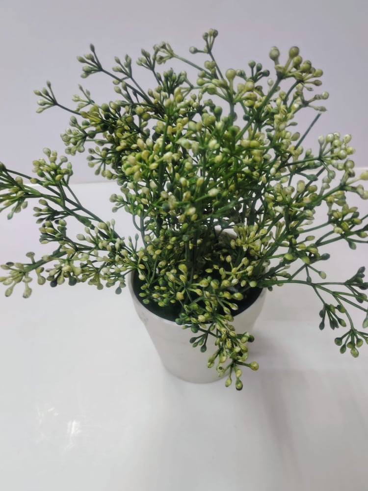 Small Artificial Fern/Trailing Greenery in Minimalist White Plant سرخس اصطناعي صغير/نباتات خضراء متدلية في نبات أبيض بسيط