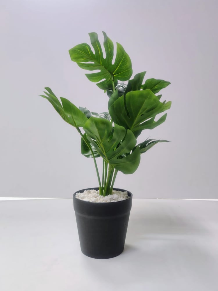 Artificial Variegated Croton Plant for Desk Decor نبات كروتون صناعي متنوع لديكور المكتب
