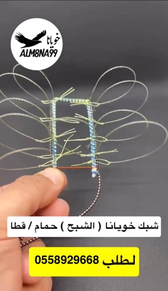 شبك خويانا  الشبح حمام / قطا