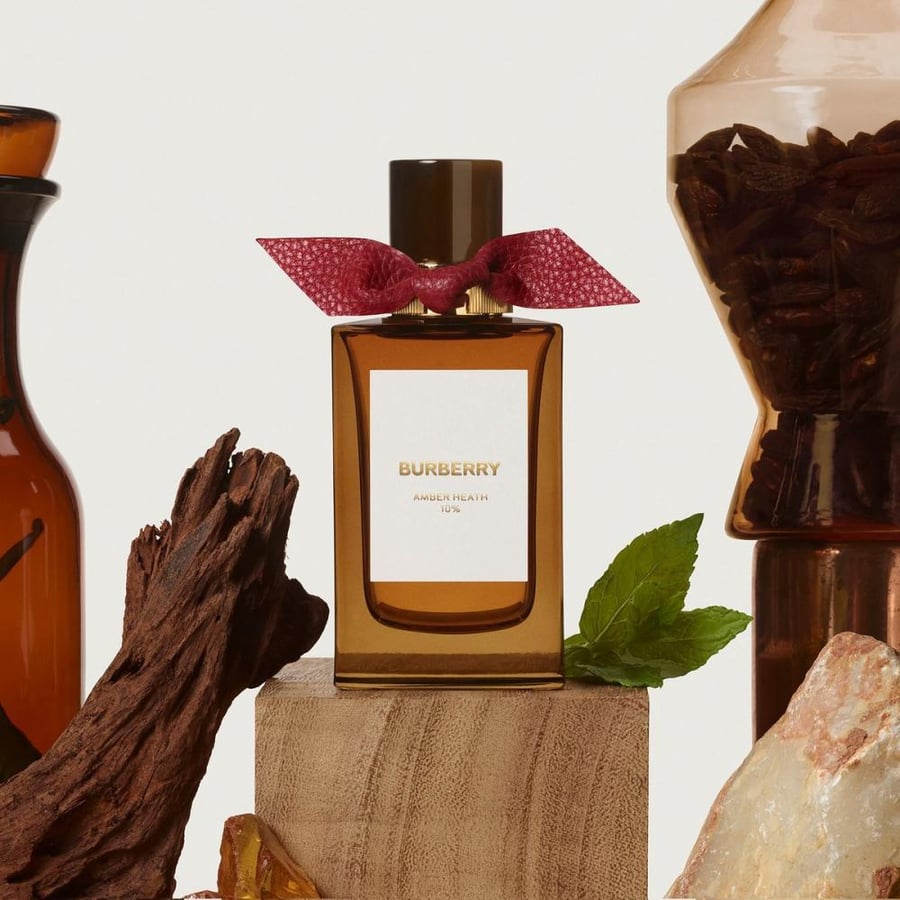 عطر بربري سيجنتشرز أمبر هيث او دي بارفيوم 100مل