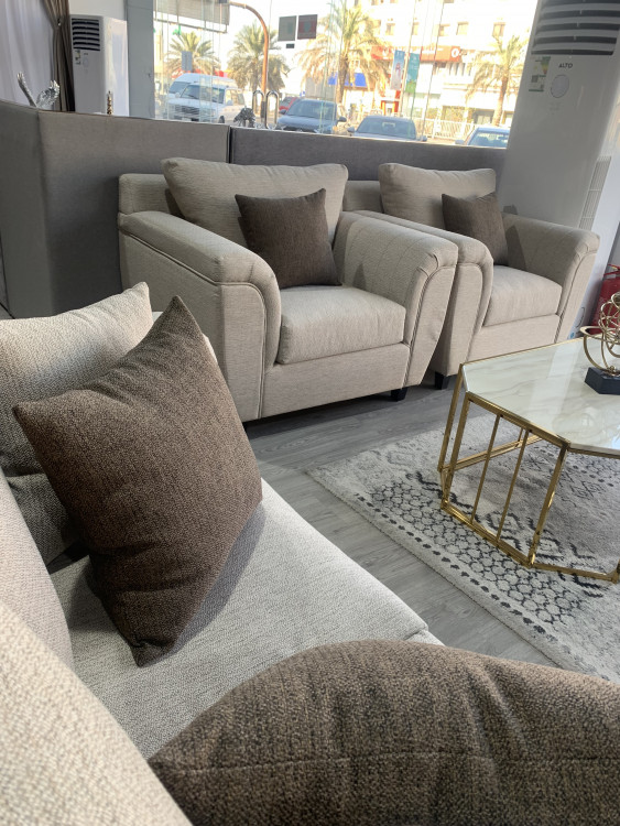 American sofa with movable cushion