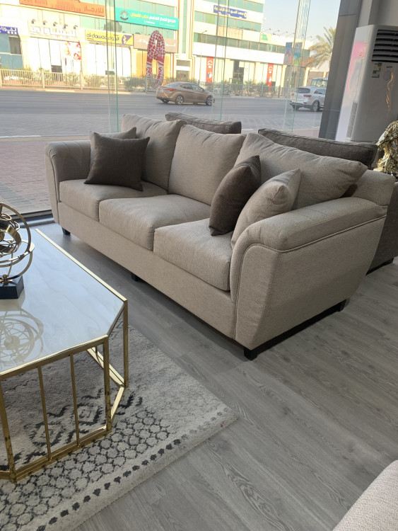 American sofa with movable cushion