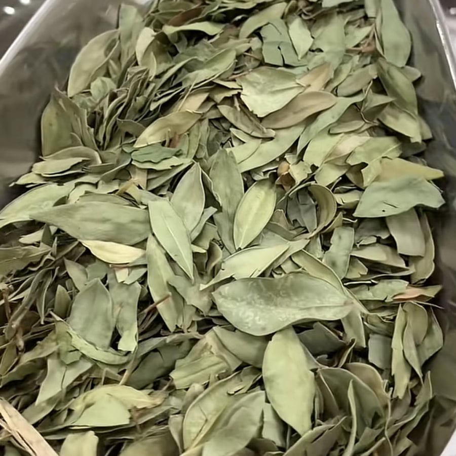 ورق الأس
