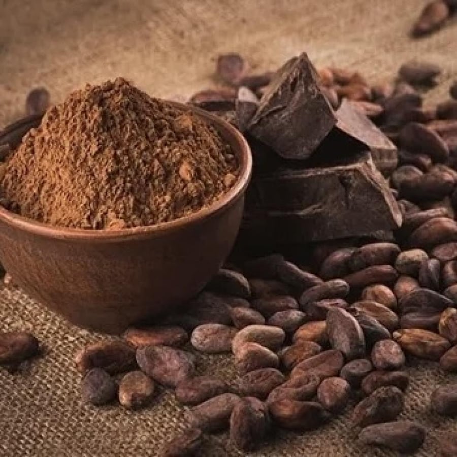 نواة التمر