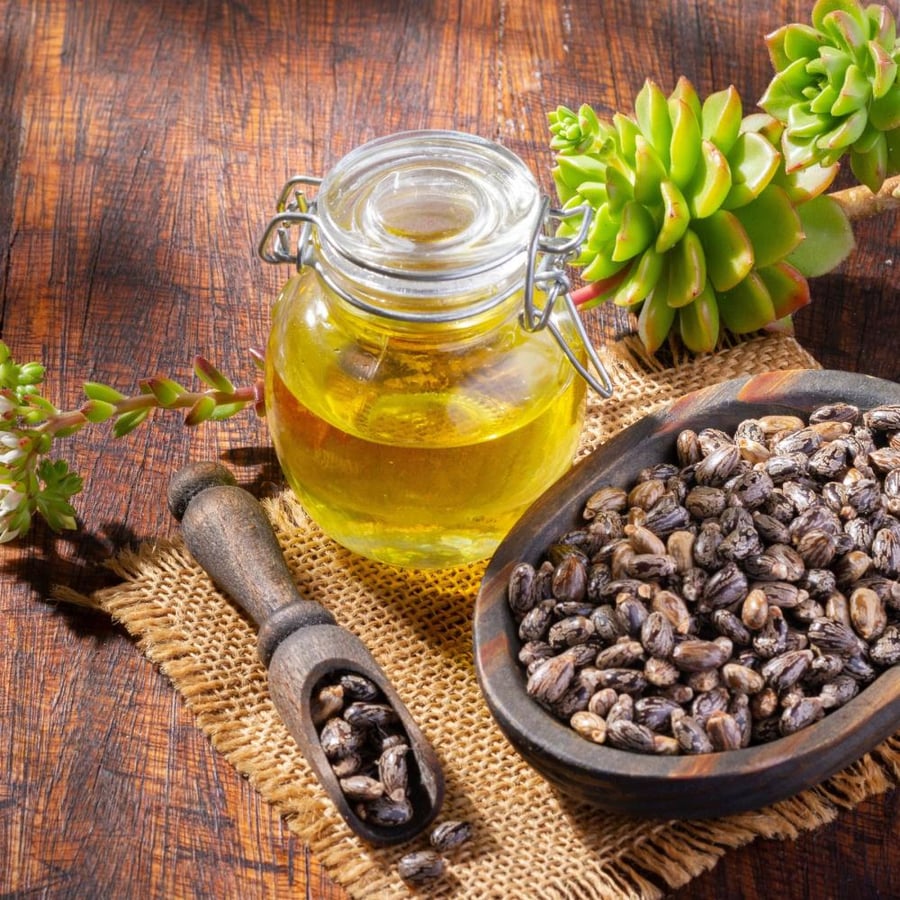 خروع